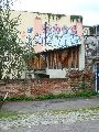 Graffitis-Schriften und Blütenfarben