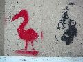 Graffitis-Schriften und Blütenfarben
