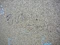 Graffitis-Schriften und Blütenfarben