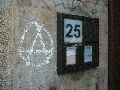 Graffitis-Schriften und Blütenfarben
