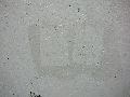 Graffitis-Schriften und Blütenfarben