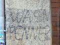 Graffitis-Schriften und Blütenfarben