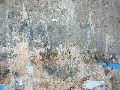 Graffitis-Schriften und Blütenfarben