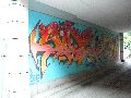Graffitis-Schriften und Blütenfarben