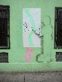 Graffitis-Schriften und Blütenfarben