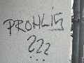 Graffitis-Schriften und Blütenfarben