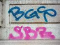 Graffitis-Schriften und Blütenfarben