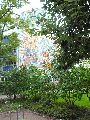 Graffitis-Schriften und Blütenfarben