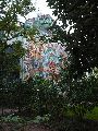 Graffitis-Schriften und Blütenfarben