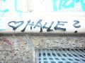Graffitis-Schriften und Blütenfarben