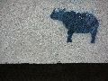 Graffitis-Schriften und Blütenfarben