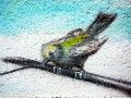 Graffitis-Schriften und Blütenfarben