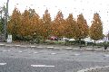 Spaziergang vom Straßenbahnhof Mickten, Leipziger Str.-Trachau