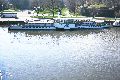 Schiffahrt auf der Elbe, 2008