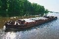 Schiffahrt auf der Elbe, 2008