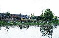 Schiffahrt auf der Elbe, 2008