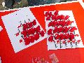 DGB 1.Mai Kundgebung auf dem Schloßplatz