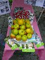 DGB 1.Mai Kundgebung auf dem Schloßplatz