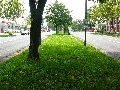 Spaziergang Fritz Reuter Str.-Radeburger Str.-Hellerhofstr.-Meinhold Str.