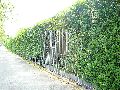 Spaziergang Fritz Reuter Str.-Radeburger Str.-Hellerhofstr.-Meinhold Str.