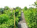 Spaziergang Fritz Reuter Str.-Radeburger Str.-Hellerhofstr.-Meinhold Str.
