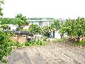 Spaziergang Fritz Reuter Str.-Radeburger Str.-Hellerhofstr.-Meinhold Str.