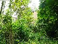Spaziergang Fritz Reuter Str.-Radeburger Str.-Hellerhofstr.-Meinhold Str.