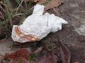 Industriezeitalter Plastiken zu besichtigen, an der Molebrücke Pieschen