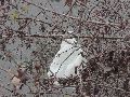 Industriezeitalter Plastiken zu besichtigen, an der Molebrücke Pieschen