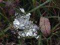 Industriezeitalter Plastiken zu besichtigen, an der Molebrücke Pieschen