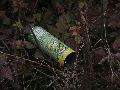 Industriezeitalter Plastiken zu besichtigen, an der Molebrücke Pieschen