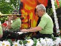 Musik, 2008-2009