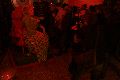 Kunst und Förderpreis der Stadt Dresden Albrechtsberg, mit anschließender Party  für den Förderpreis für die Ostrale ,in der Ostrale