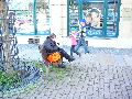 Piescher Hafenfest- Bereich Oschatzer Str.und Pieschener Hafen