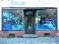 Piescher Hafenfest- Bereich Oschatzer Str.und Pieschener Hafen