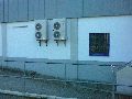 Piescher Hafenfest- Bereich Oschatzer Str.und Pieschener Hafen