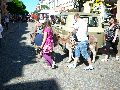 Piescher Hafenfest- Bereich Oschatzer Str.und Pieschener Hafen