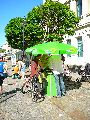 Piescher Hafenfest- Bereich Oschatzer Str.und Pieschener Hafen