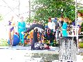Piescher Hafenfest- Bereich Oschatzer Str.und Pieschener Hafen