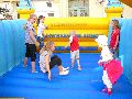 Piescher Hafenfest- Bereich Oschatzer Str.und Pieschener Hafen