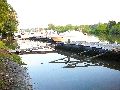 Piescher Hafenfest- Bereich Oschatzer Str.und Pieschener Hafen