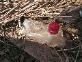 Plastiken-Ausstellung an der Mole Brücke