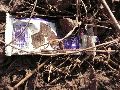 Plastiken-Ausstellung an der Mole Brücke
