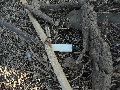 Plastiken-Ausstellung an der Mole Brücke