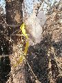 Plastiken-Ausstellung an der Mole Brücke