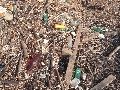 Plastiken-Ausstellung an der Mole Brücke