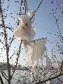 Plastiken-Ausstellung an der Mole Brücke