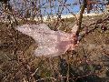Plastiken-Ausstellung an der Mole Brücke