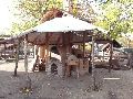 Abenteuerspielplatz-Panama in der Neustadt-Antonstadt