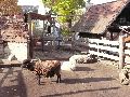 Abenteuerspielplatz-Panama in der Neustadt-Antonstadt